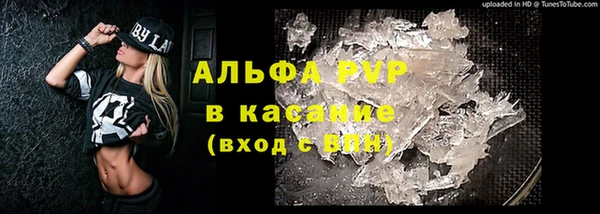 ПСИЛОЦИБИНОВЫЕ ГРИБЫ Щигры