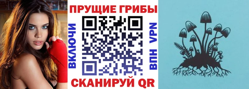 Купить закладки  Бодайбо  Псилоцибиновые грибы ЛСД 